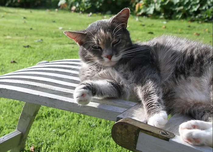 Le Clos Du Vivier Bed & Breakfast Valmont (Seine-Maritime)